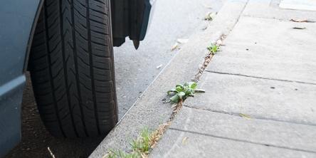 Car tire parked against curb with weeds growing along pavement edge.