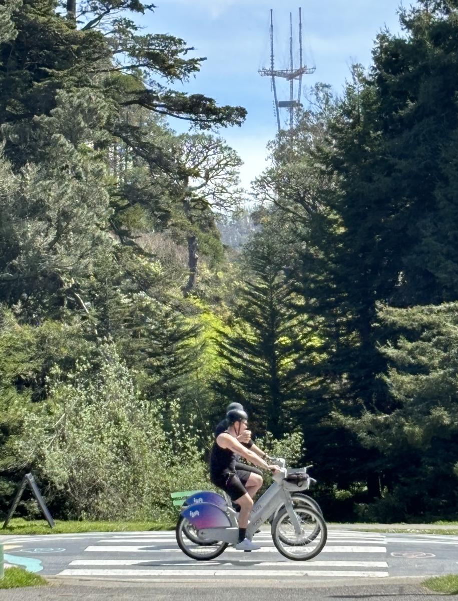 Two people on bicycles near trees.