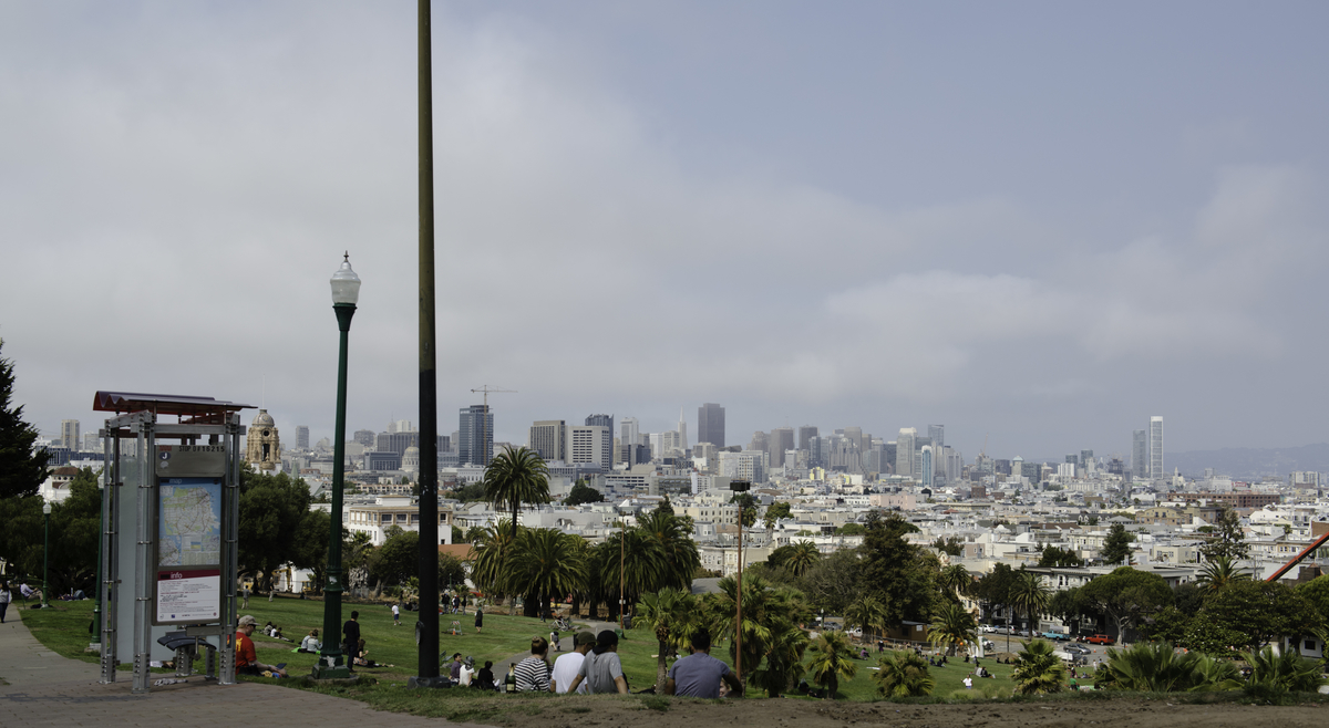 Dolores Park's Panoramic View