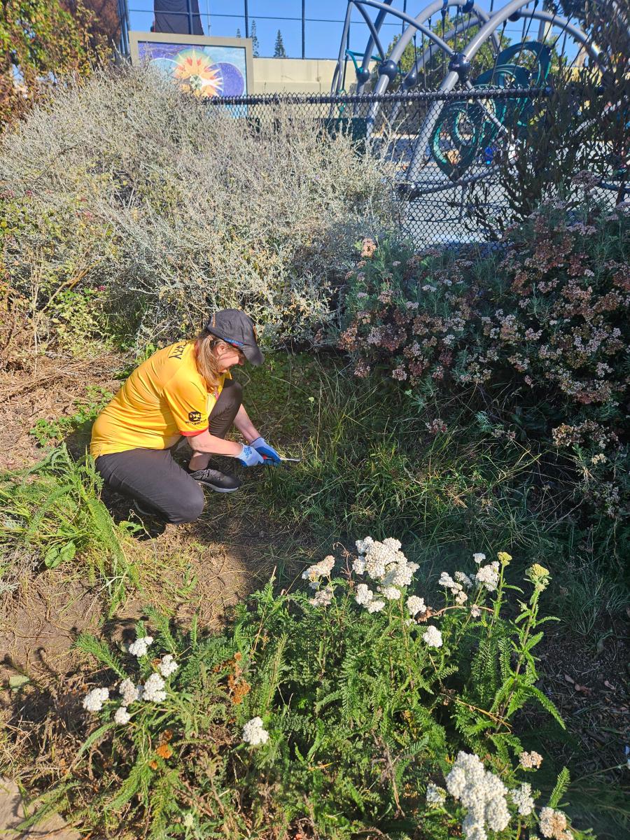 woman in a yellow shirt gardens 