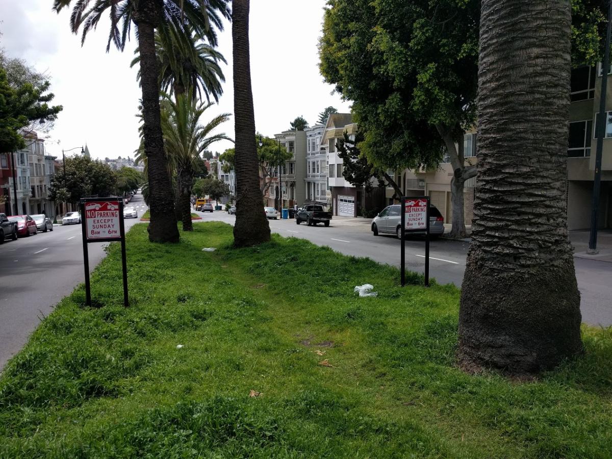 Dolores Street Median with parking signs