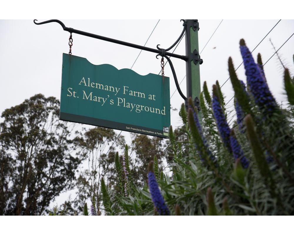 Alemany Farm at St. Mary's Playground