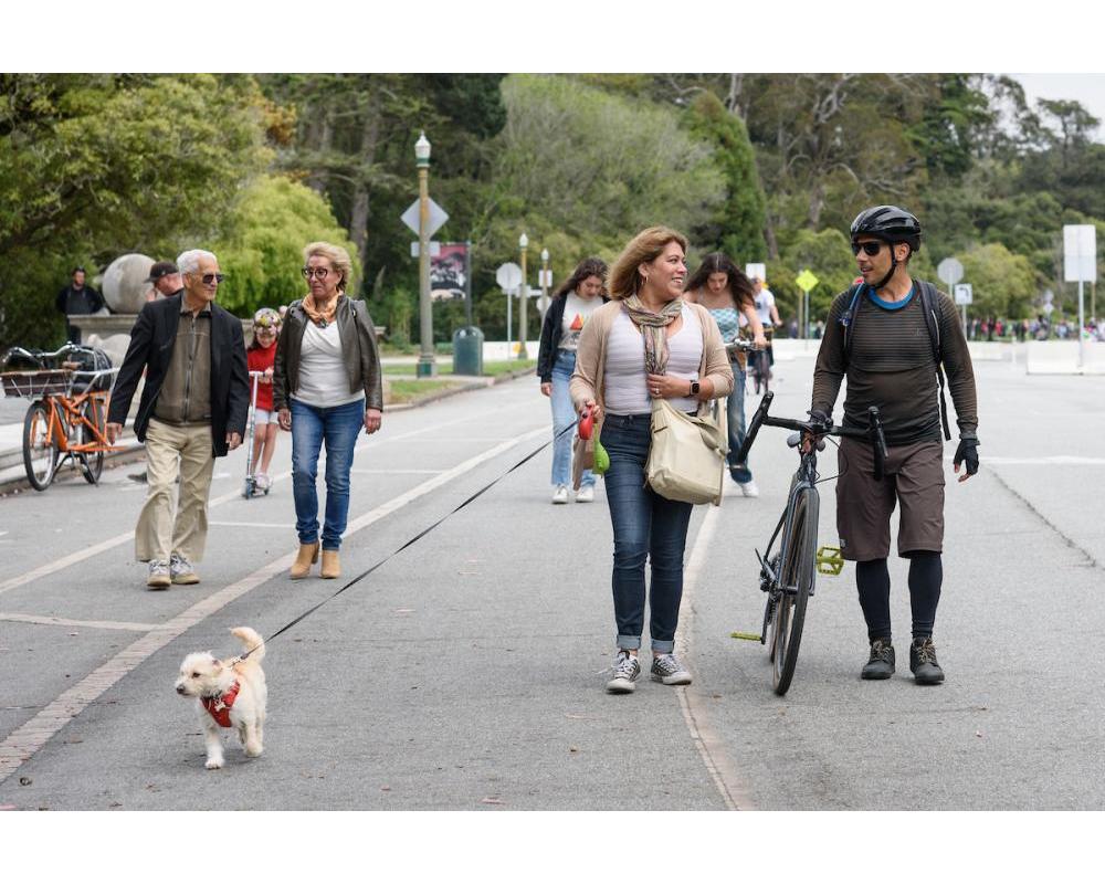 People walking towards the camera on a tree-lined street. There is a person walking a bike and a person walking a dog.