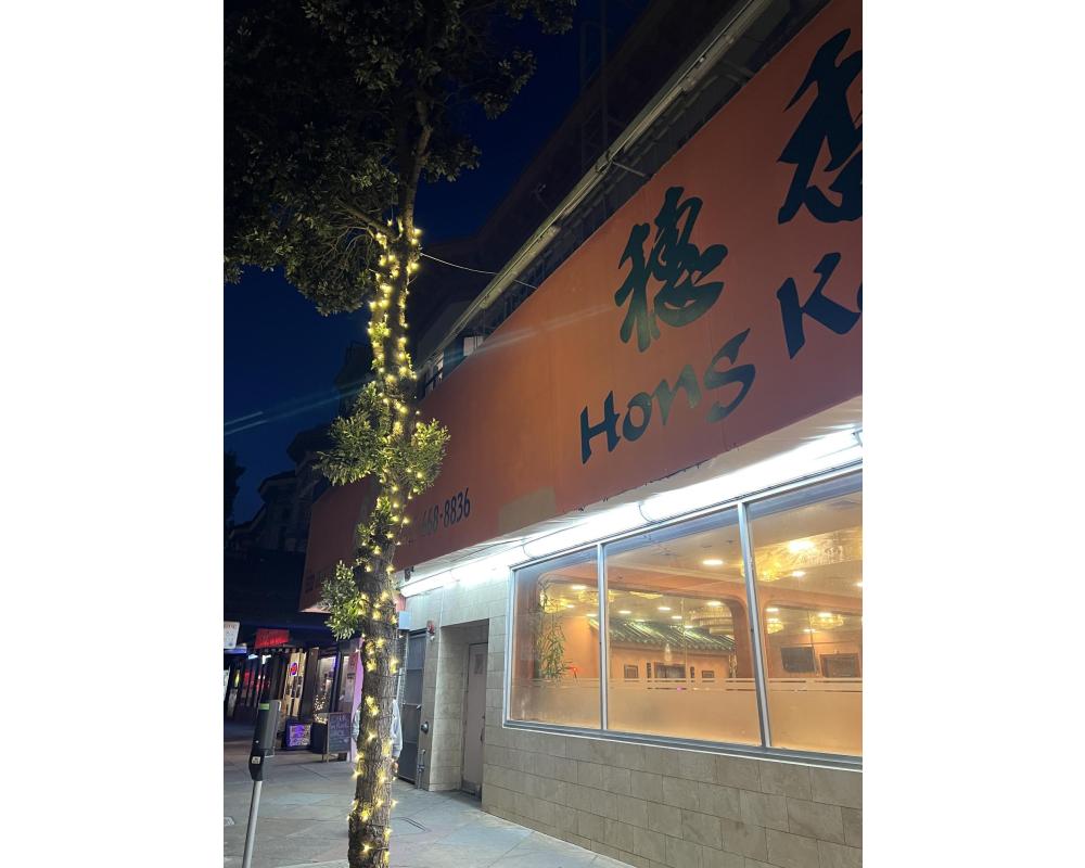 Decorative lighting on a tree in front of Hong Kong Lounge on Geary.