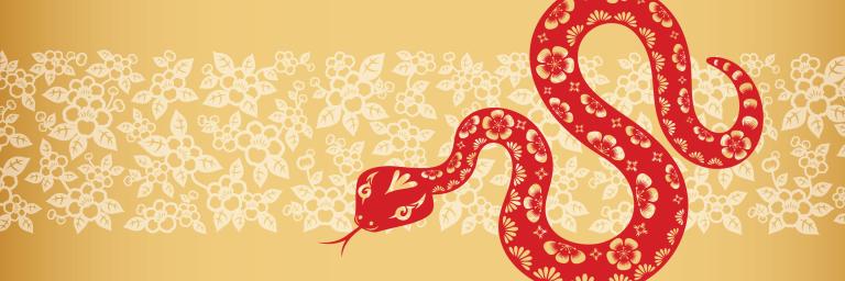 Lunar New Year design with a snake