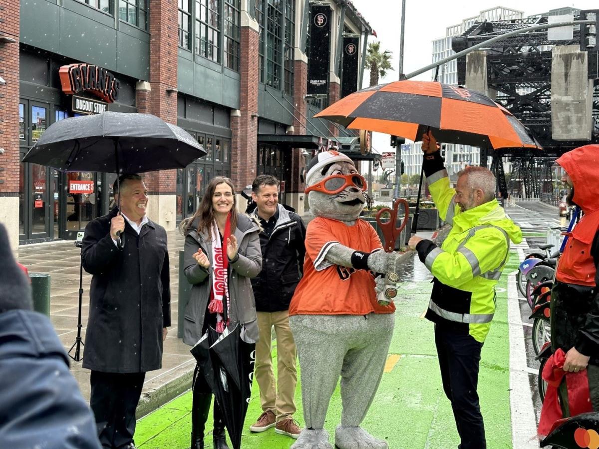 A group of people holding umbrellas stand in a green bike lane with a mascot dressed in a seal costume on a rainy day.