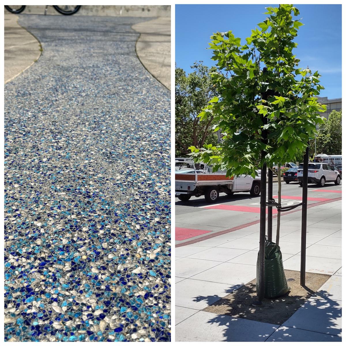 An example of a concrete glass aggregate sidewalk design and new trees on Geary Boulevard in the Western Addition.