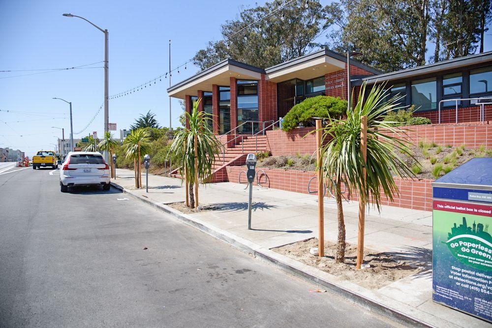 Over 175 new trees were planted along Taraval as part of the project, including these trees by a public library on the corridor.