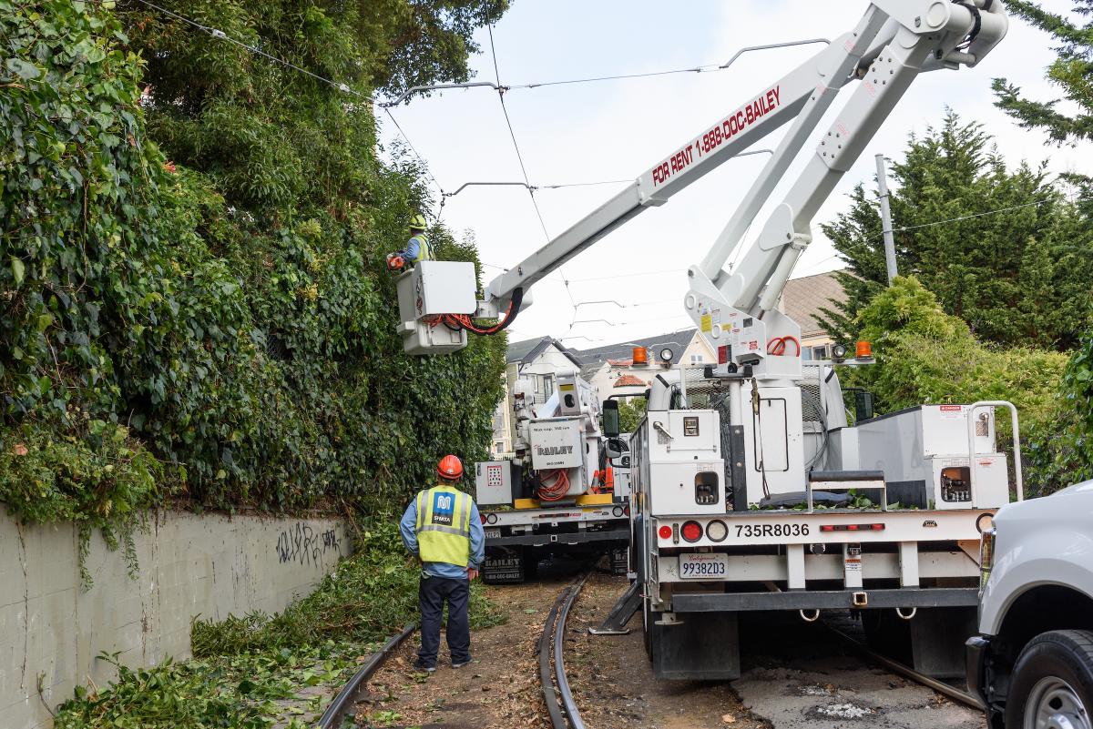 Removing vegetation near Muni tracks.