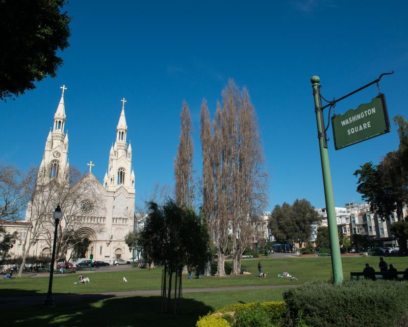 view of washington square park and church in north beach